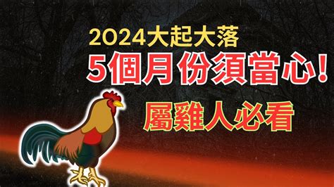 1981屬雞2024運勢|2024属鸡全年运势 2024属鸡全年运势详解